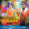 About Lal Gulab Gal Song